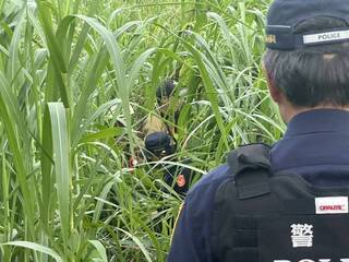 高雄男子曾文溪畔生態調查  迷途草叢近3小時救出