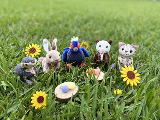 5種台灣原生動物票選  傳遞山林永續保育