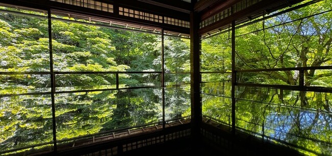 日本京都瑠璃光院青楓亮眼 遊客互讓位子捕捉美景 | 華視新聞