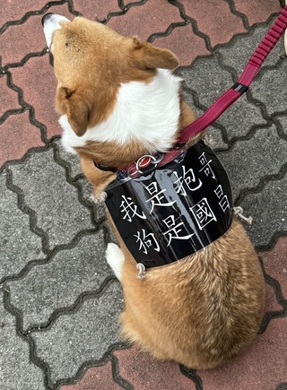 台南青鳥行動  民眾巴克禮教會聚集反國會濫權