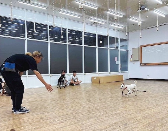 助飼主與毛孩情感連結 高市動保處辦犬隻訓練課程 | 華視新聞