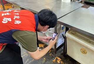 女品嘗蛋糕吃到蟑螂  嘉市衛生局開罰停業4天