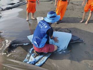 海保署新增海洋保育站點  徵巡查員起薪近4萬元