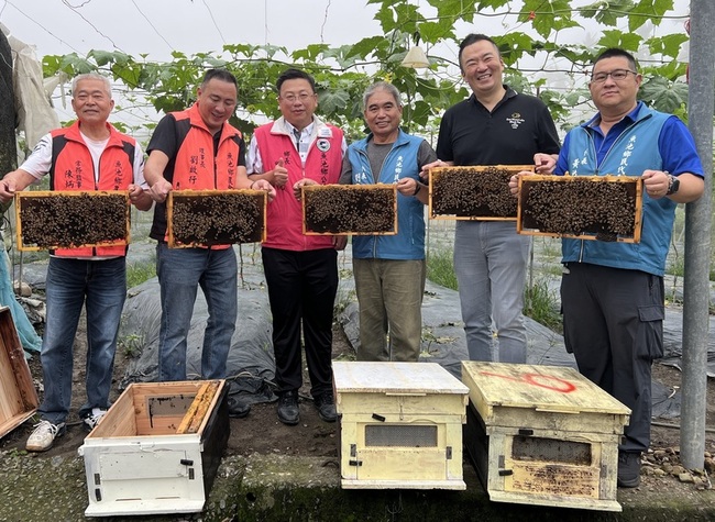 日月潭頭社放50萬隻蜜蜂 盼提高絲瓜結果率及品質 | 華視新聞