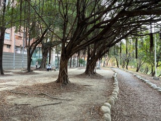 高雄本和里滯洪池將設施優化 預定12月完工