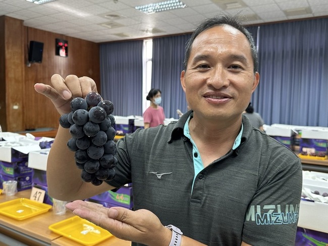 受氣候影響  彰化葡萄產量少近2成 | 華視新聞