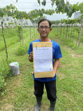 無農藥方式種葡萄護農地 吳武銘盼環境永續發展