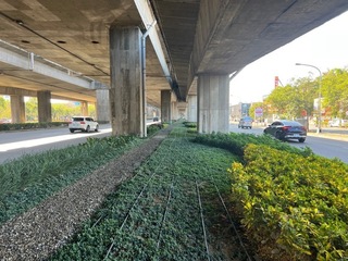 中市府攜手台積電 推動分隔島綠美化作業