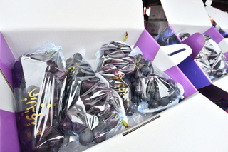 彰化推廣大村葡萄 果粒大又飽滿不漲價拉抬買氣