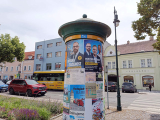 歐洲議會選舉  捷克投票率創新高、反對黨獲最高票