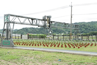 抗氣候變遷維護糧安 農試所建置植物表型體分析系統