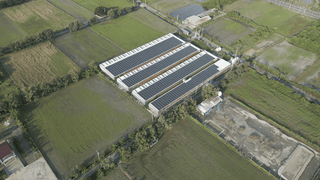 青農用綠能翻轉養鵝困境 企業合作認購綠電