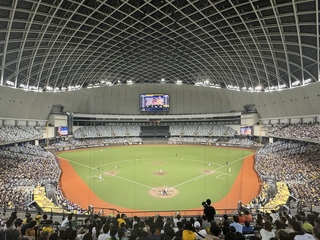 兄弟台北大巨蛋主場票房開紅盤 15日接近3萬人