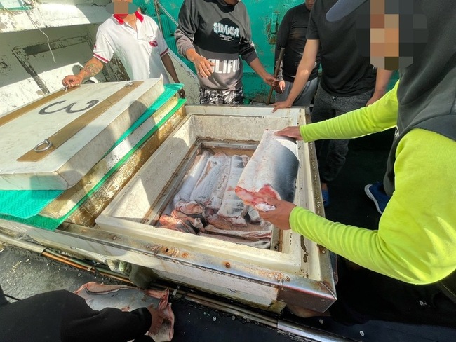 蘇澳籍漁船又違法捕撈  起出鯊魚鰭5000公斤遭罰 | 華視新聞