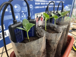 AI智慧聯網課程  學生運用監測分析植物生長狀況