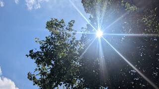 12縣市高溫上看36度 防熱傷害避免中午時段出門