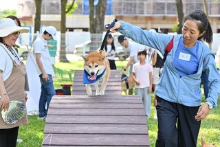 高雄推動「好伴公園」 犬隻闖關、健康諮詢夯