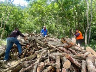 國有林剩餘資材開放撿拾屏東原鄉村民好評 延至7/10