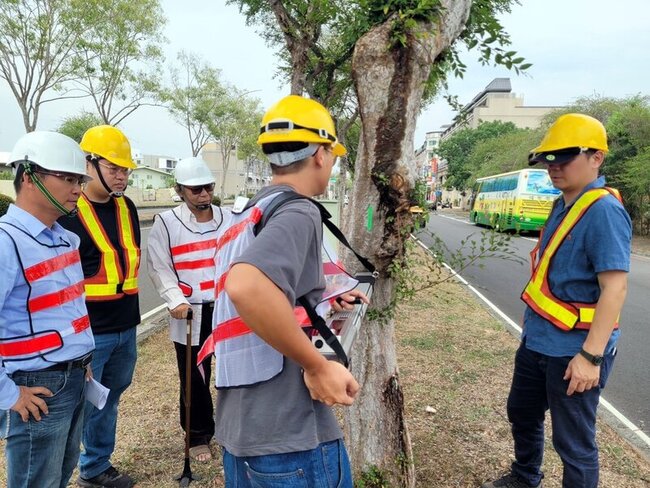 防樹木傾倒釀事故  嘉市建立資訊巡查系統管理 | 華視新聞