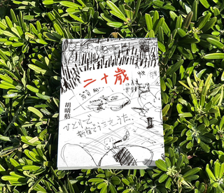 胡晴舫小說回到「二十歲」 叩問青春的執著與痛苦