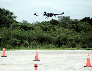 降低捕蜂遭螫風險 新北研擬無人機取代人工摘取