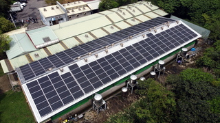 新北中和動物之家推光電降溫犬舍 回饋金購飼料