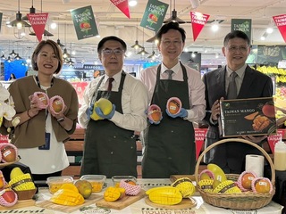 愛文金煌西施芒果前進新加坡 超市買氣旺