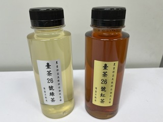 台灣首個商用茶新品種 台茶26號進軍手搖飲攻國際