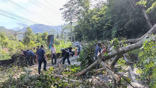 台中和平山區路樹倒塌阻路 警消與民眾合力清除 | 華視新聞