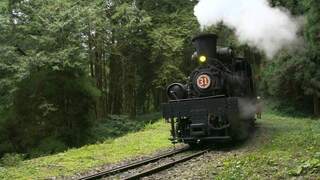 「神木之森」台日合製  桂綸鎂配音想再看日出