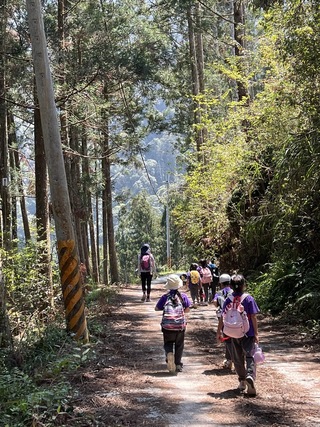 南投人倫林道資源多元 林保署攜手民間發展生態旅遊