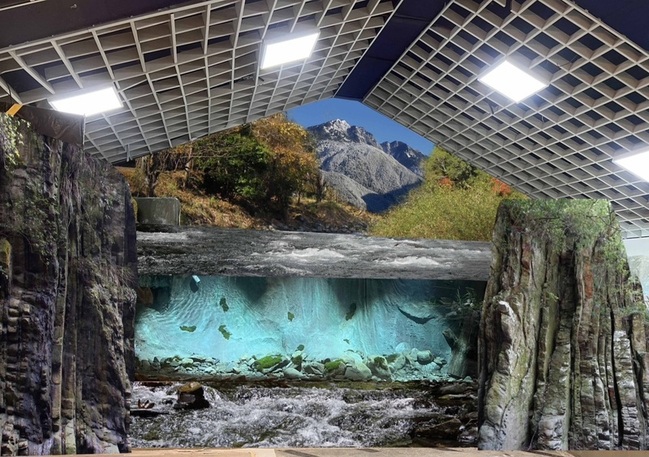 展示槽模擬溪流生態 如置身原始棲地觀察國寶魚 | 華視新聞