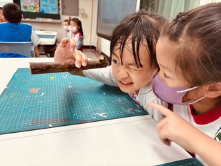 工藝入校扎根計畫 林園國小學生體驗樹皮創作