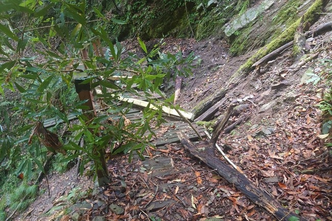 霞喀羅國家步道部分路段土石崩落  林業署清理中 | 華視新聞