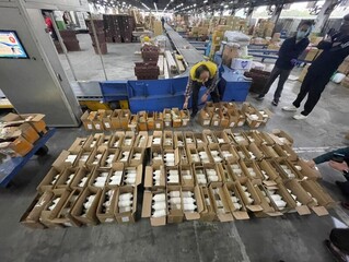 雲林男緩刑期重操舊業 違法輸入禽流感疫苗遭起訴