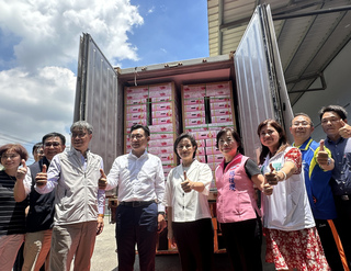 見證首櫃紅肉紅龍果輸日 鄭麗君：感動一刻等了8年