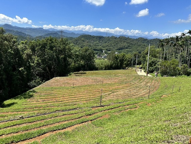 關西部分山頭遭不當開發 竹縣府稽查開罰地主 | 華視新聞