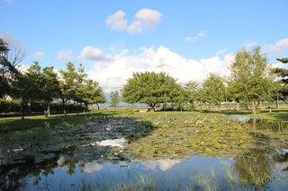屏東瀰力村融合藝術與生態 居民自主打造社區亮點