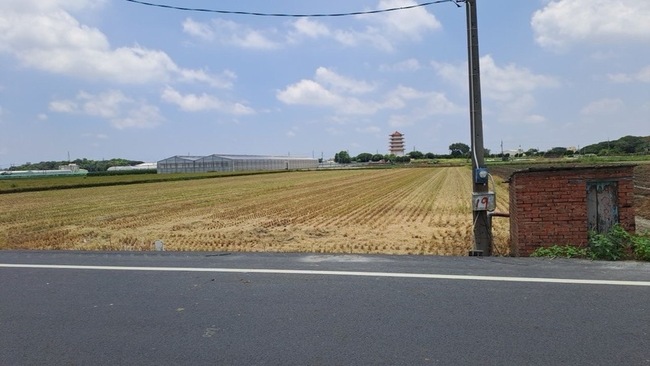 雲林稻田遭割稻仔尾 農民求助議員尋稻穀 | 華視新聞