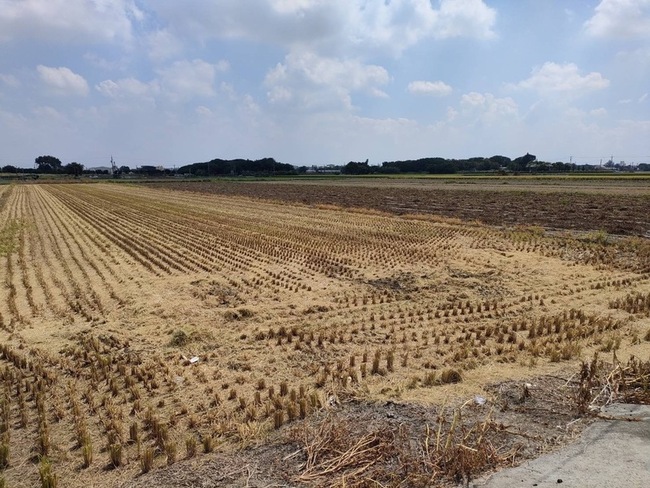 雲林農民辛苦成果被收割 業者誤收賠償4萬元和解 | 華視新聞