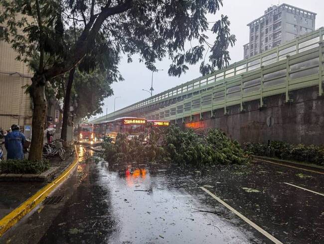 北市雷陣雨路樹傾倒幸無傷亡 警速疏導交通 | 華視新聞