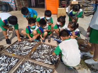 美感教育融合海洋議題  發揚台灣海島特性