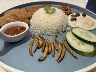 金沙螃蟹佐蟋蟀？ 新加坡批准16種蟲蟲可食用