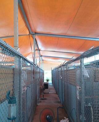 動物之家犬五舍帆布屋頂通風差挨批  北市允改善