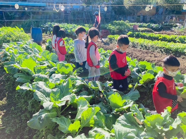 非營利幼兒園結合社區資源 體驗菜園和廟宇文化 | 華視新聞