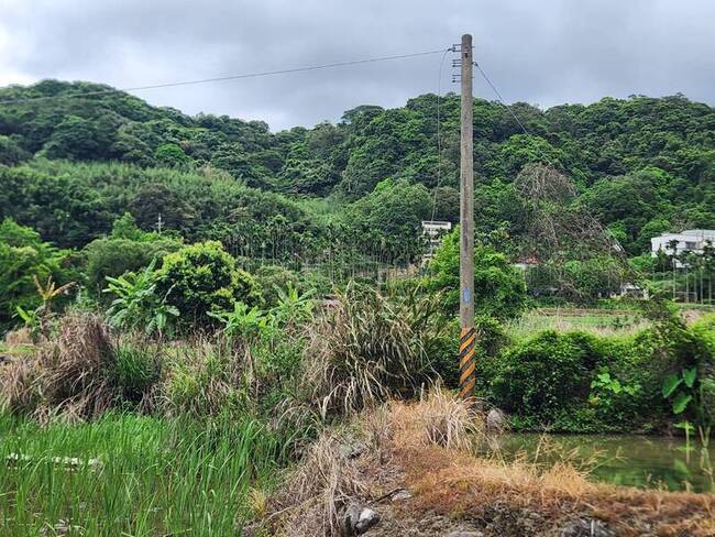 新北三芝山區電纜農作物屢遭竊  警將增設監視器 | 華視新聞