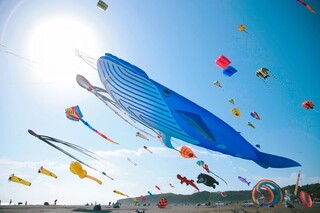 高雄旗津風箏節20日登場 氣墊水樂園玩到晚上