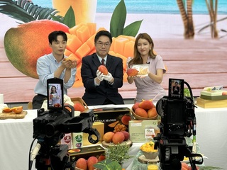 黃偉哲二度赴韓直播 加碼銷5噸愛文芒果