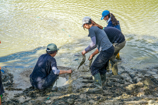 屏科大靜思湖清淤 原生種魚龜鱉先寄養 | 華視新聞