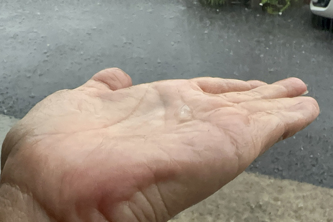 台南強風雷雨下冰雹  東區路樹倒伏壓車 | 華視新聞